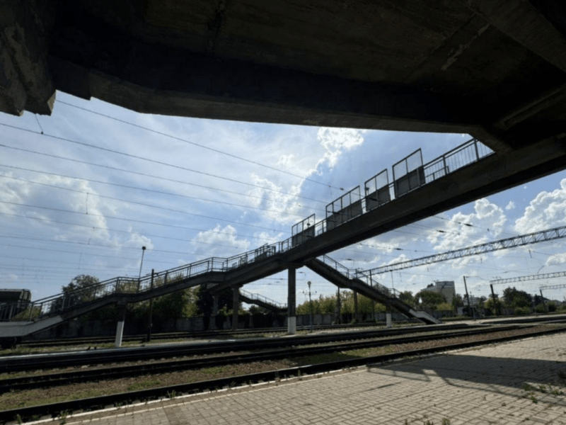 На Київщині жінка скинула собаку із залізничного мосту: поліція розшукує свідків