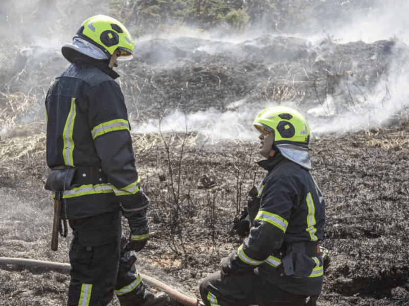 Рятувальники показали, як гасили масштабну пожежу біля озера Верховина