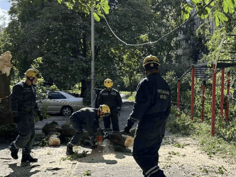 На Святошині дерево впало на дитячий майданчик та пошкодило лінії електропередачі