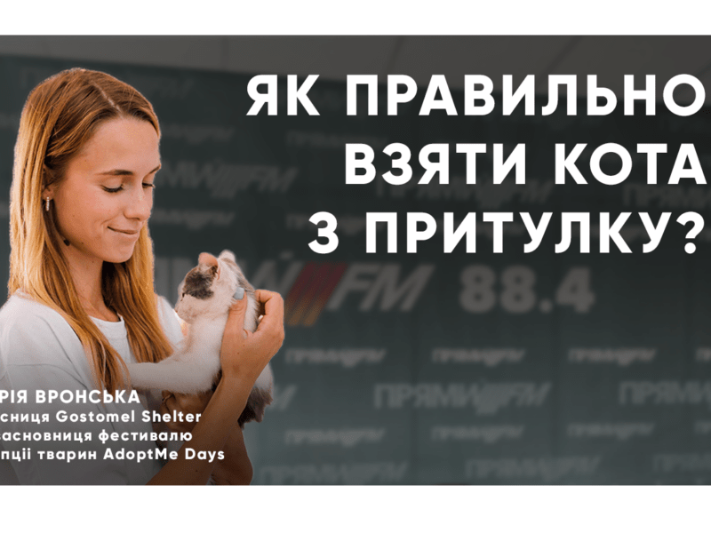 Як забезпечити успішну адаптацію тварини до нового дому