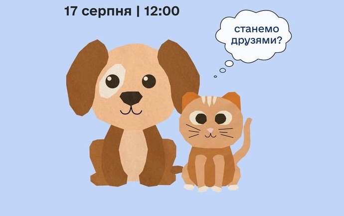 Про пухнастих і для пухнастих: у Києві відзначать День безпритульних тварин