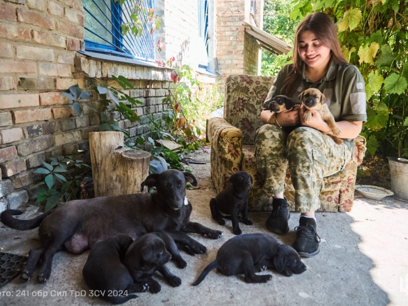 Захисники шукають “добрі руки” своїх вірних супутників – 7 цуценят