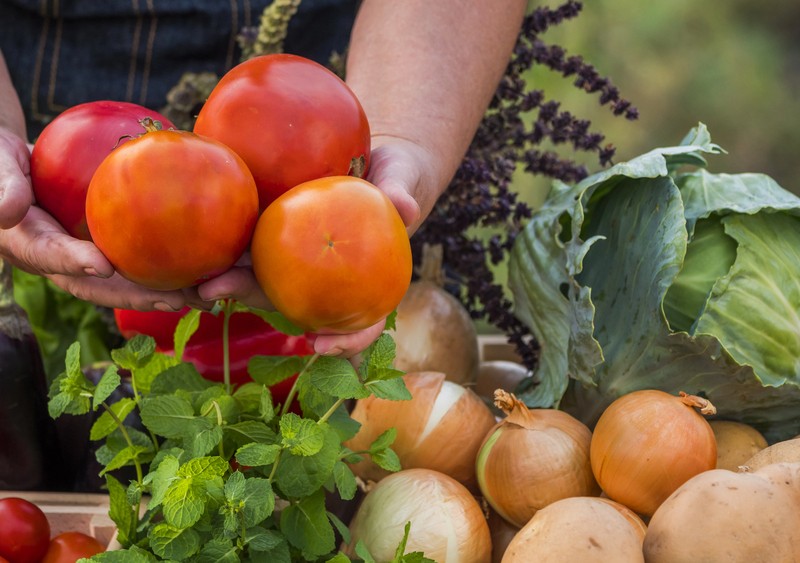 Де у Києві купити домашні продукти: у восьми районах міста проходять ярмарки