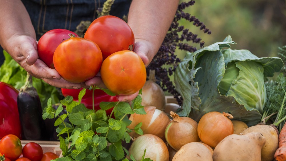 Де у Києві купити домашні продукти: у восьми районах міста проходять ярмарки