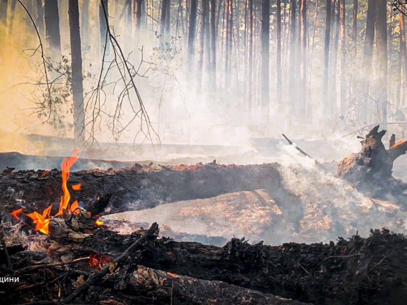 У Чорнобильській зоні четвертий день гасять масштабну лісову пожежу: що відомо