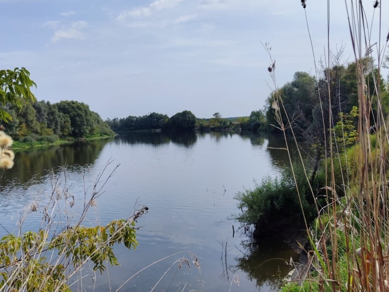 Зафіксовано перші ознаки зміни кольору води та рівня каламутності води на Київщині через скид з рф