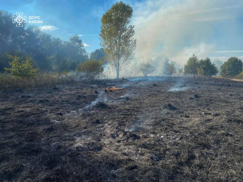 Вогонь за кілька годин знищив все живе і залишив згарище: на Оболоні горіла екосистема