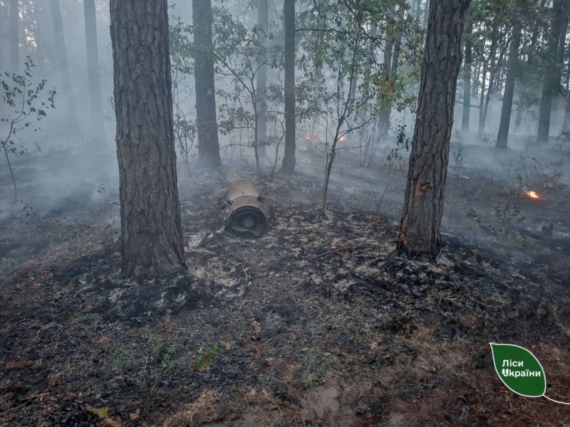 Стало відомо, чому у Києві відчувається запах диму