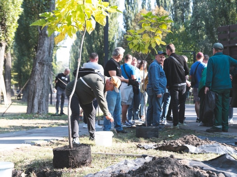 Під час загальноміської толоки у Києві прибрали 60 локацій і висадили тисячі дерев