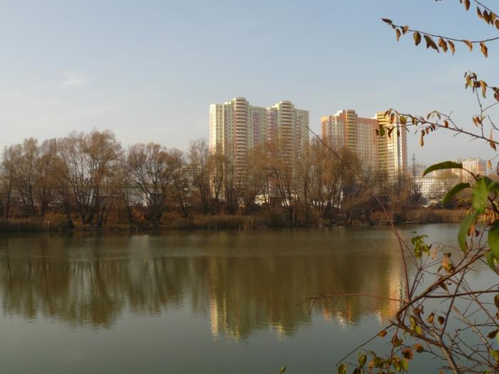 В Оболонському районі рятують від забруднення озеро, у якому загинула риба