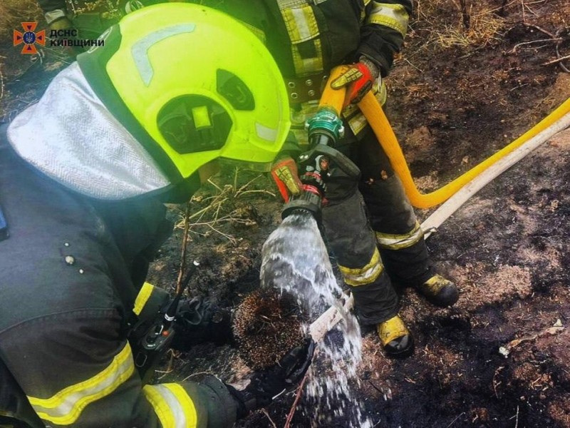 Пройшов вогонь і воду: на Київщині під час пожежі трав’яного настилу врятували їжачка