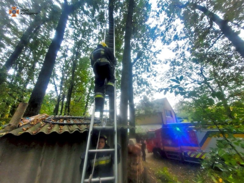 Пів дня просидів на висоті: у Білій Церкві рятувальникам прийшлося визволяти з пастки кота