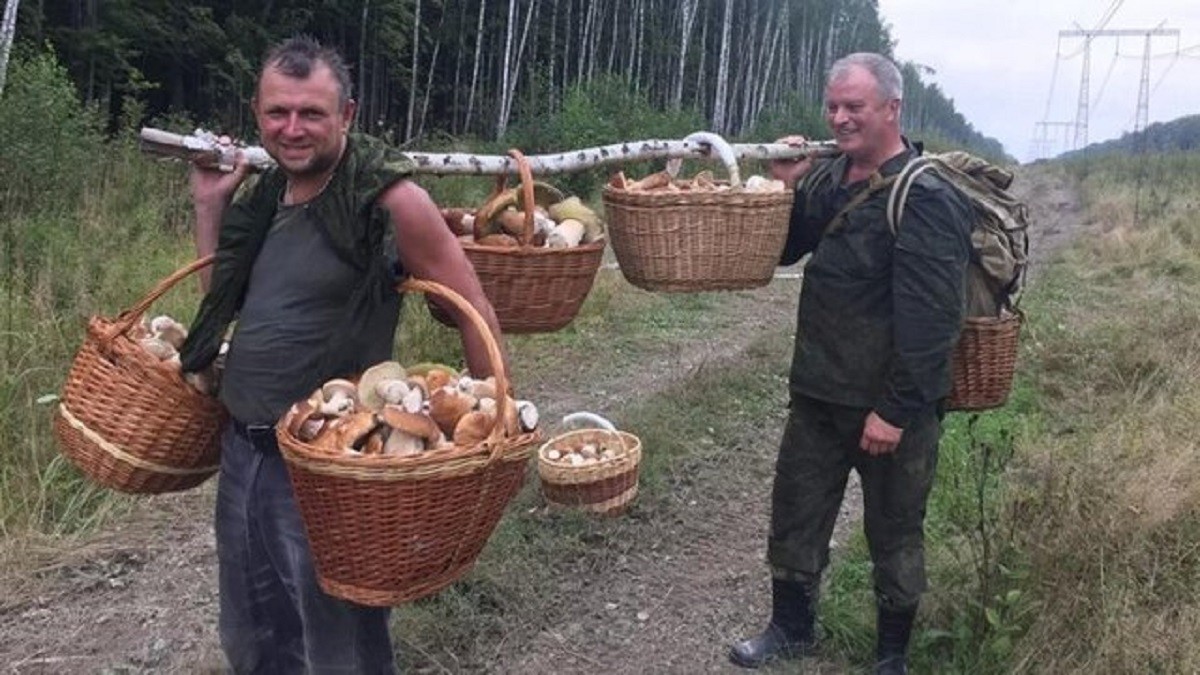 Відрізняти їстівні гриби від поганок мало – рятувальники вчать, як не заблукати в лісі