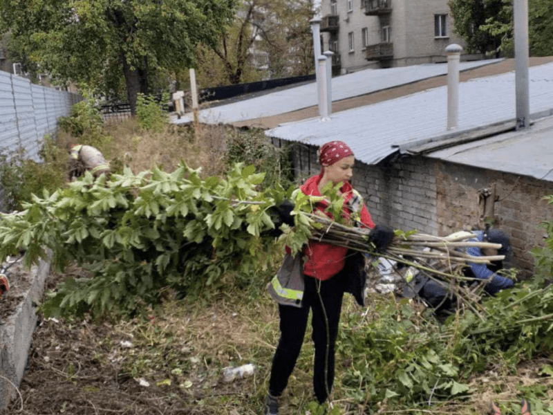 З Дарниці масово вивозять сміття: які ділянки вже очистили