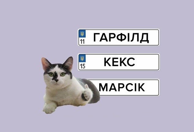 Сервісні центри МВС відновили виготовлення індивідуальних номерних знаків