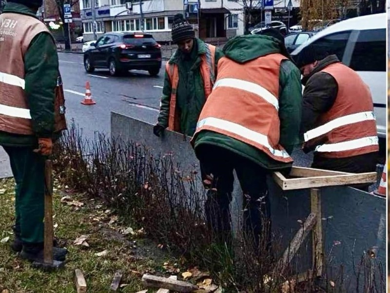 Зелені зони Києва захищають від антиожеледних сумішей