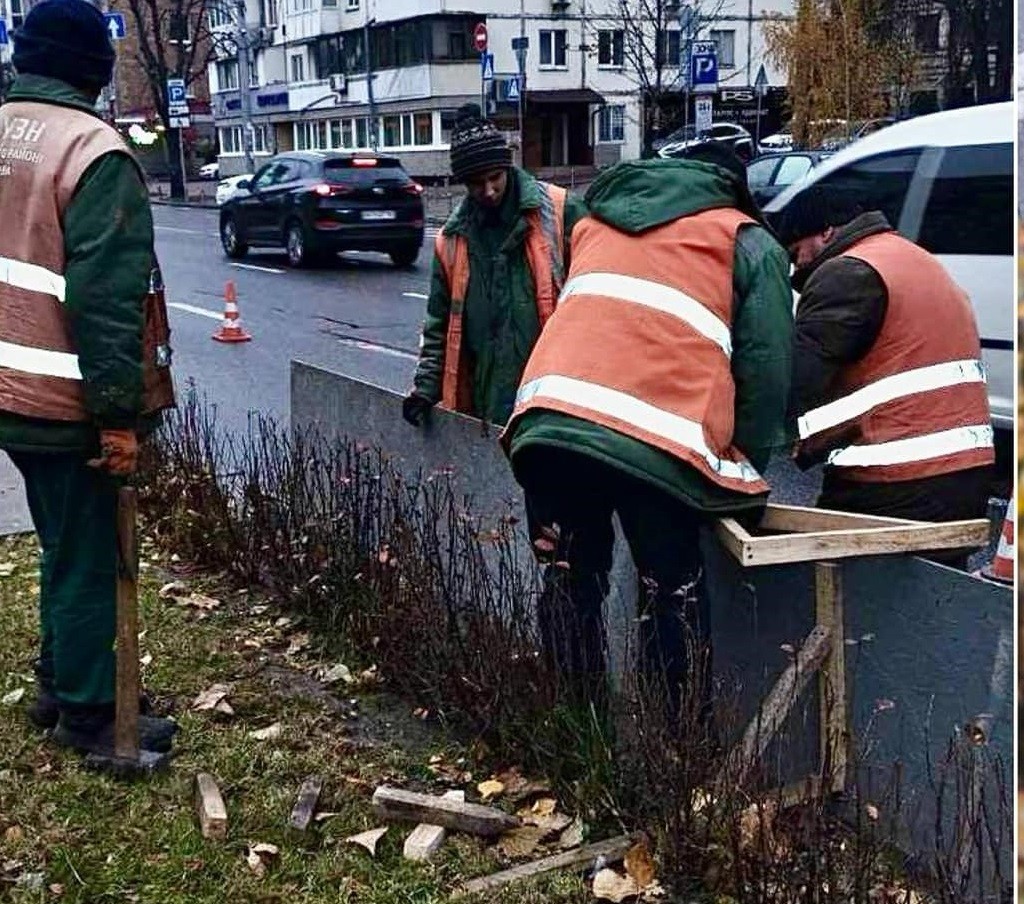 Зелені зони Києва захищають від антиожеледних сумішей