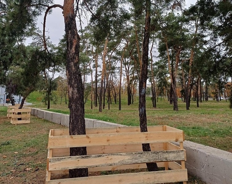 Дерева у Києві почали захищати від пошкоджень під час ремонтів міської інфраструктури