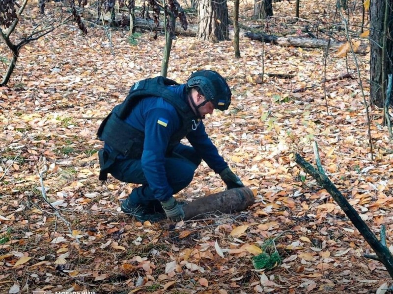 На Бориспільщині грибники натрапили на смертельну пастку