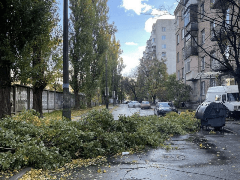 На Чоколівці впало дерево і перегородило дорогу: плануйте маршрути