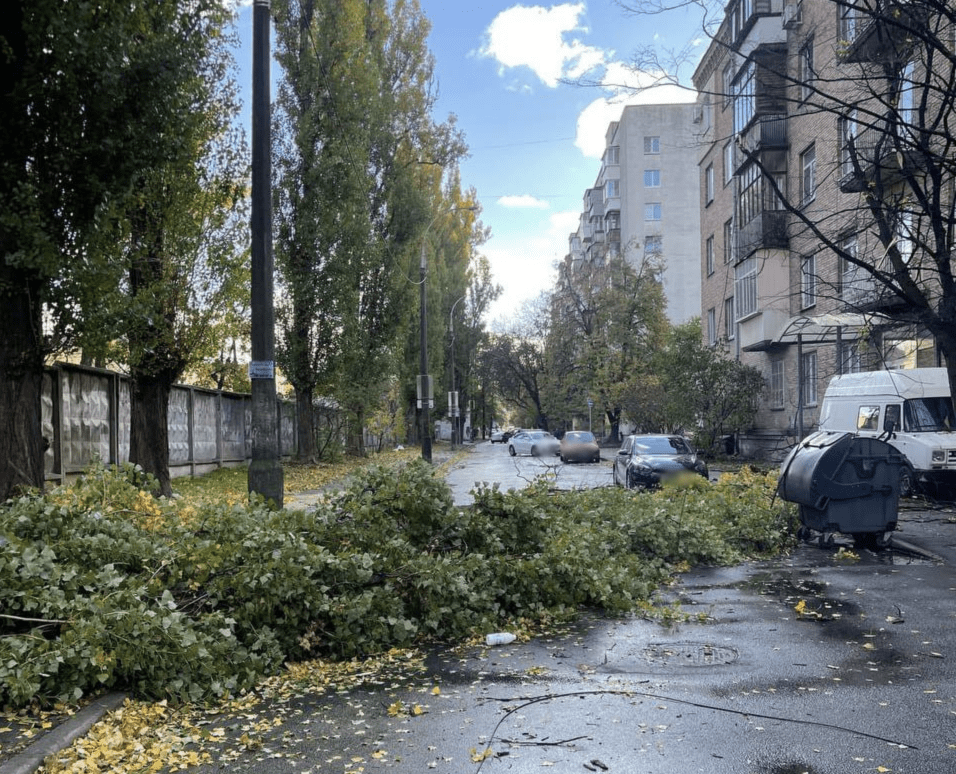 На Чоколівці впало дерево і перегородило дорогу: плануйте маршрути