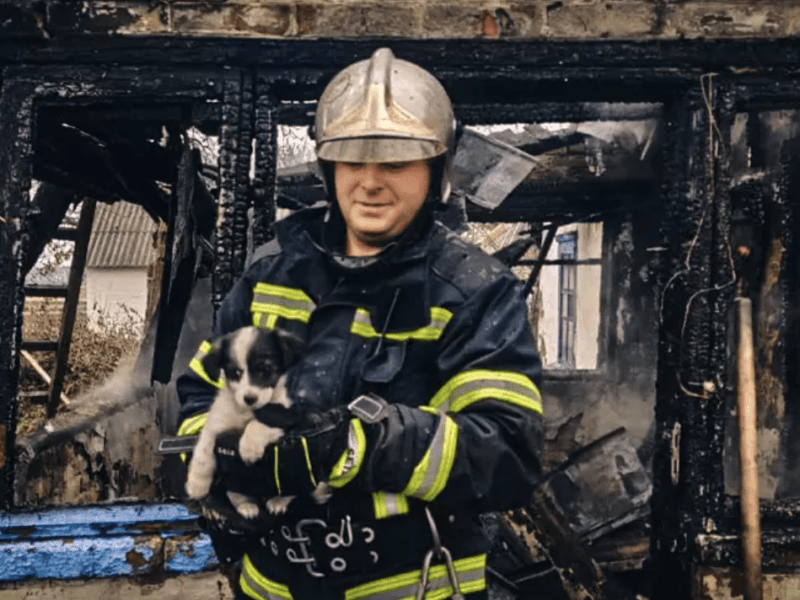 На Київщині вогнеборці врятували цуценя з палаючого будинку