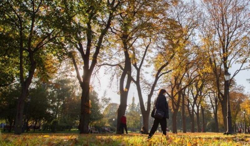 Київ залишиться без снігу: синоптики розвіяли надії