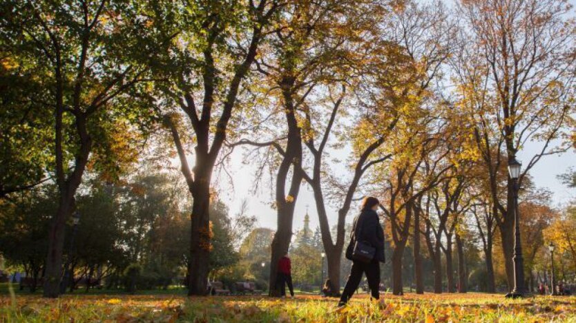 Київ залишиться без снігу: синоптики розвіяли надії