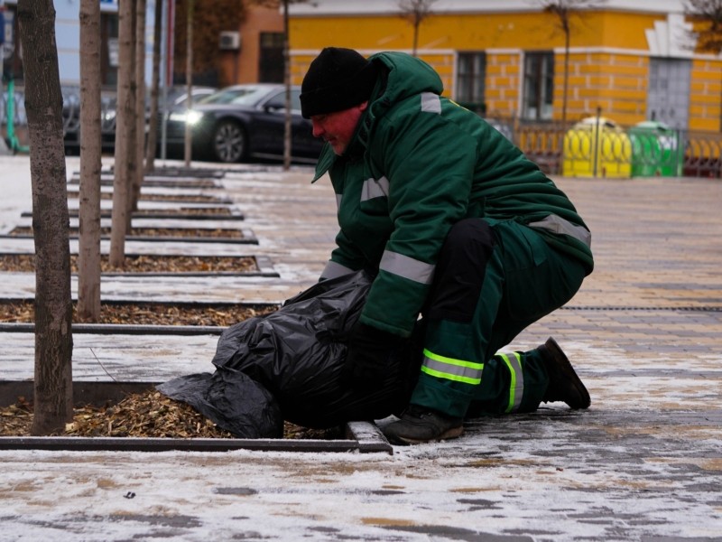 Дерева і кущі у Києві почали захищати від технічної солі, якою взимку обробляють дороги