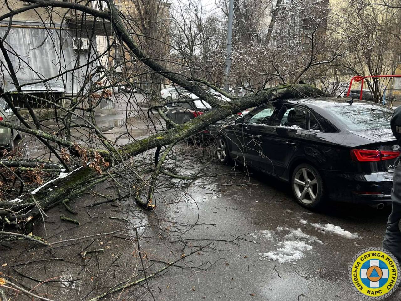 У Солом’янському районі дерево впало на авто