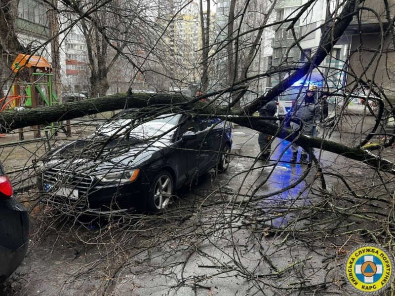 У Солом’янському районі дерево впало на авто