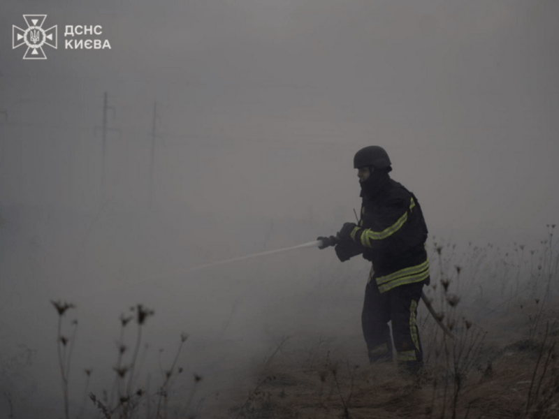 У Деснянському районі уламки дрона впали на чагарники: там пожежа