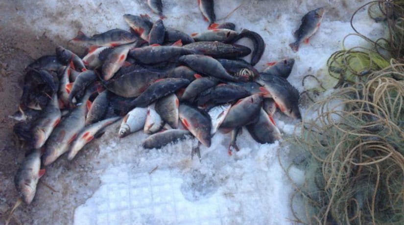 За две недели нерестового запрета рыбоохранный патруль изъял более тонны рыбы