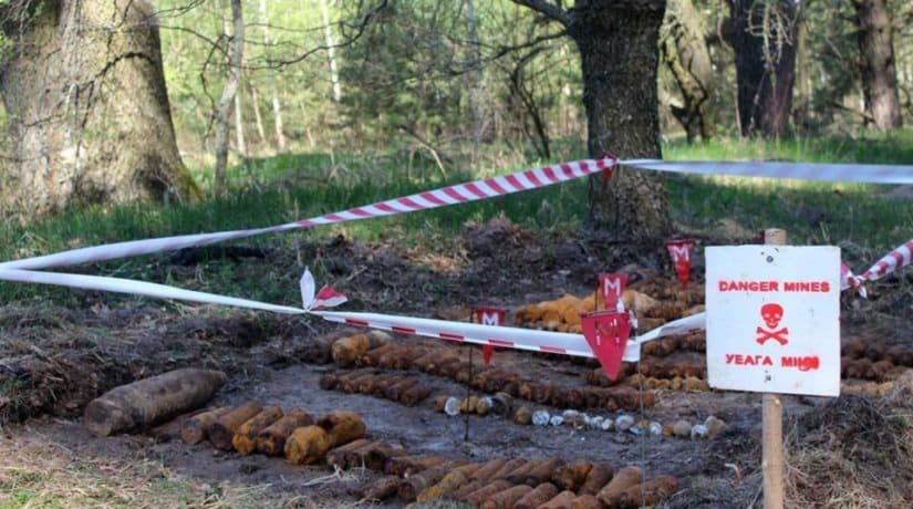 В Макаровском районе в лесу обнаружено свыше 200 боевых снарядов