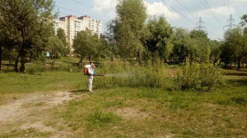 Четыре парка в Киеве обработаны против клещей