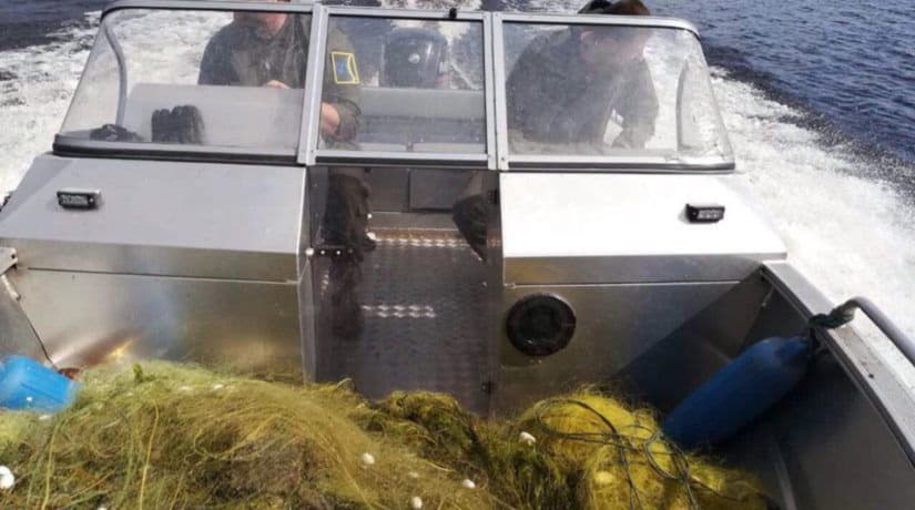 В Киеве и области стартовал месячник добровольной сдачи запрещенных орудий лова рыбы