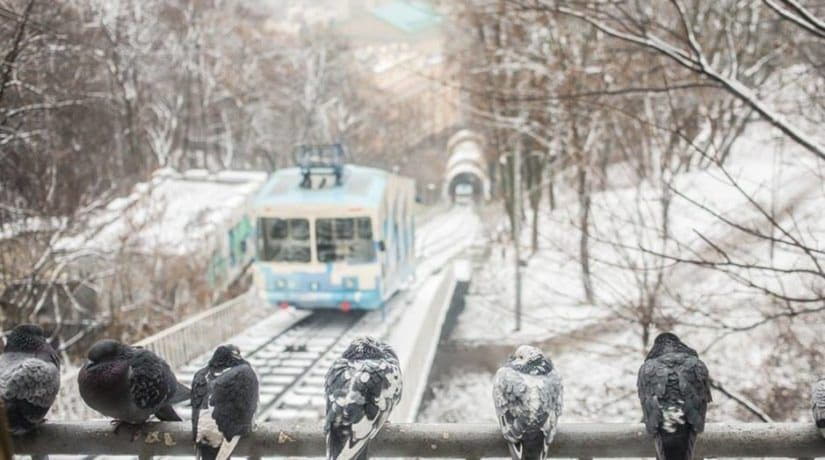 У застосунку “Київ цифровий” з’явились нові можливості для пасажирів фунікулера і метро