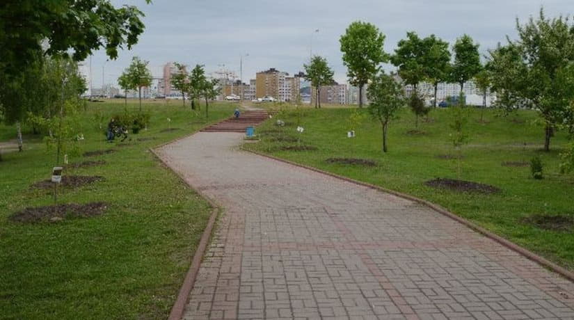 В Киеве будут построены 40 оросительных систем для полива зеленых насаждений