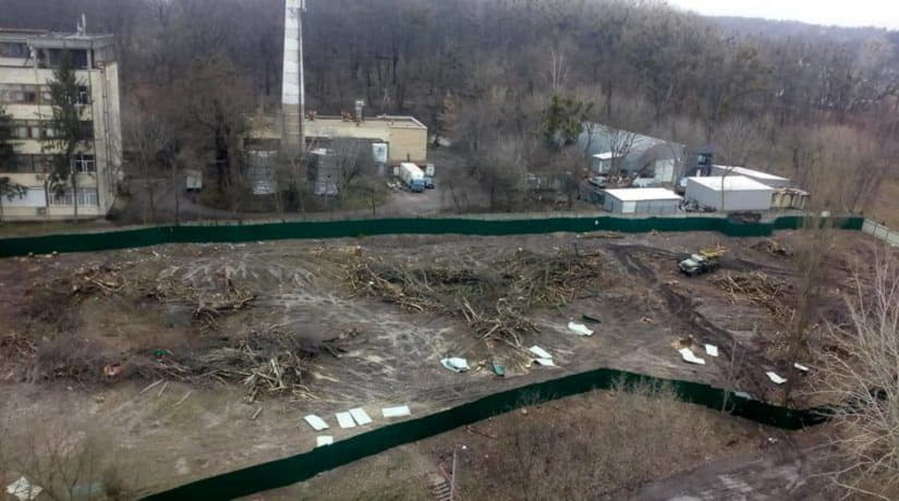 Киеврада рассмотрит петицию о прекращении вырубки парка «Кристерова горка»