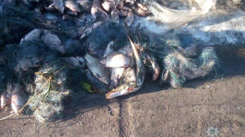 В Киевской области за браконьерство задержан экс-начальник рыбинспекции, выловивший 150 кг рыбы