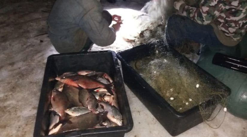 Киевский рыбоохранный патруль задержал браконьеров, выловивших 60 кг рыбы