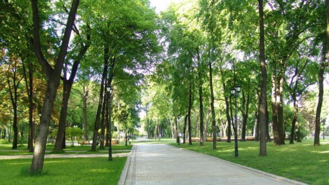 В Оболонском районе начнется строительство парка «Почайна»