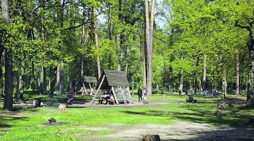 «Киевзеленбуд» обустроил 38 зон отдыха для любителей пикников
