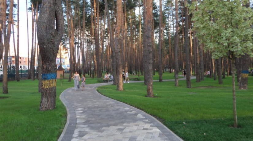 Киевская область вступила в парковый период