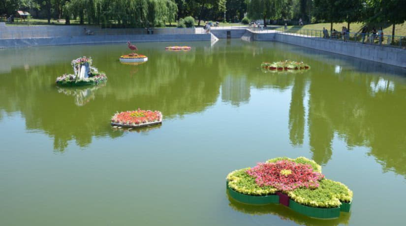 В парке «Орлятко» открылся фестиваль плавающих клумб