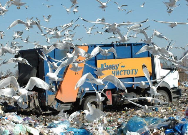 Киеврада утвердила план дополнительных мероприятий для безопасного закрытия мусорного полигона № 5