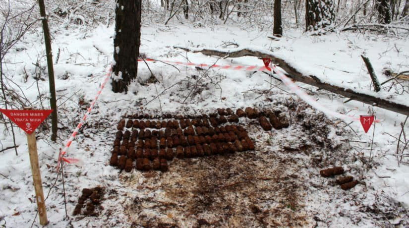 В Киевской области в лесополосе обнаружено более 400 снарядов времен Второй мировой войны