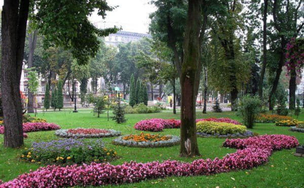 В течение года будут обновлены 128 киевских парков и скверов