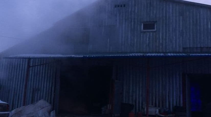 В Киевской области при пожаре на птицефабрике сгорело более двух тысяч кур