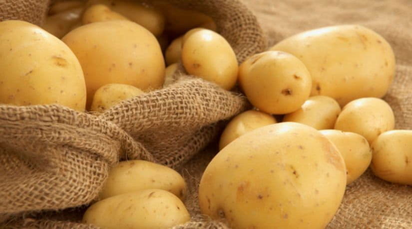 Украина увеличила экспорт картофеля в 3,5 раза